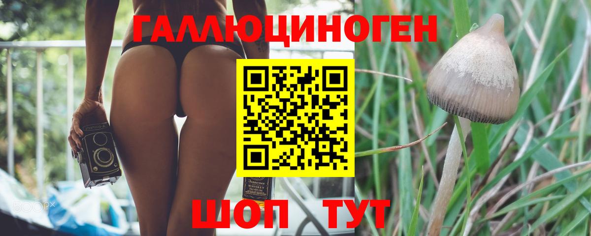 Псилоцибиновые грибы MAGIC MUSHROOMS  Вход с VPN  Полевской 