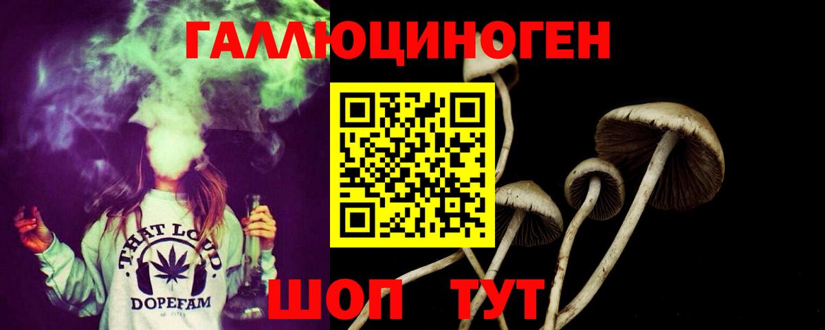 Псилоцибиновые грибы мицелий Полевской